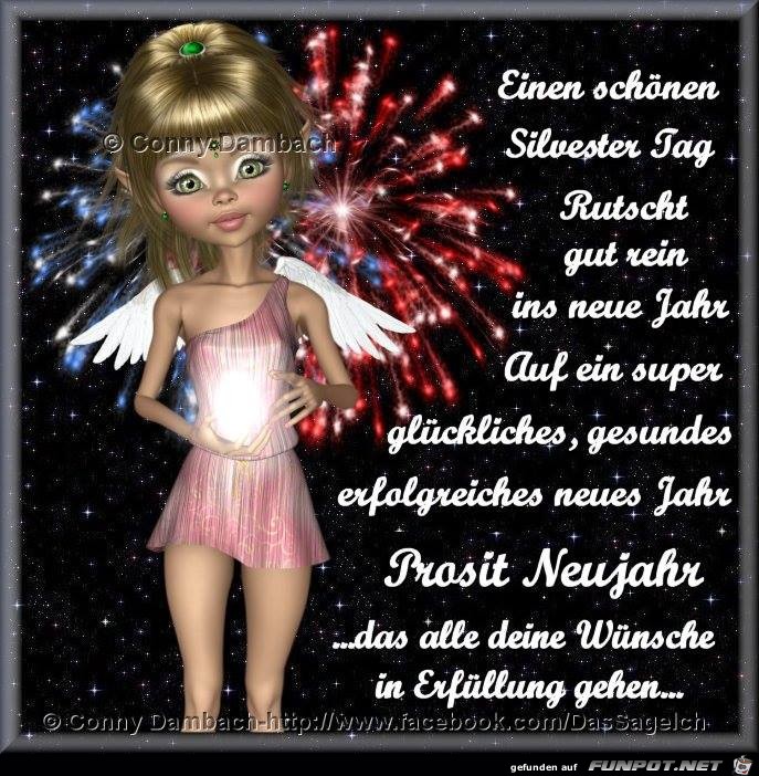 Einen schoenen Silvestertag