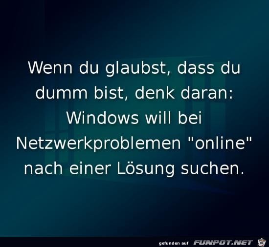 Windows Windows