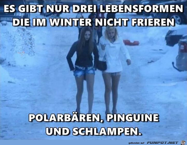 Nicht Frieren im Winter