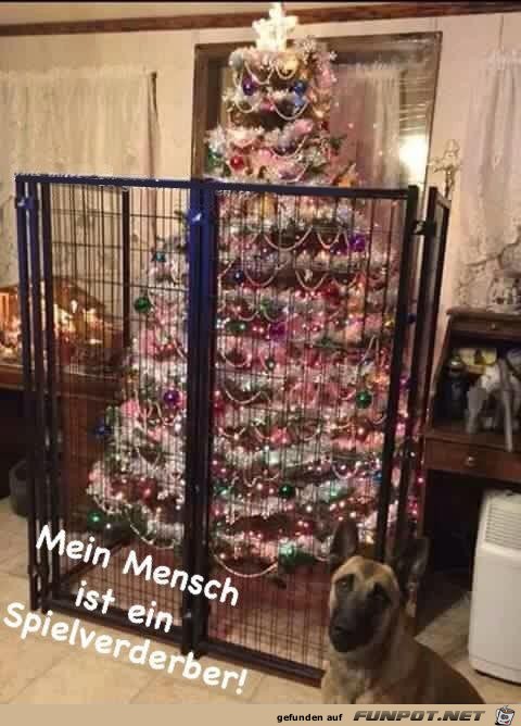 Mein Mensch