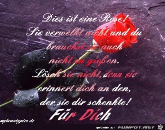 fuer dich......