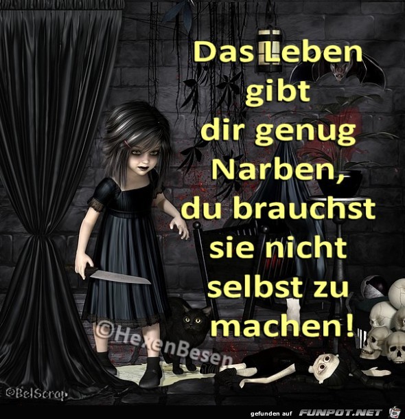 Das Leben gibt dir genug Narben Das Leben gibt dir genug Narben