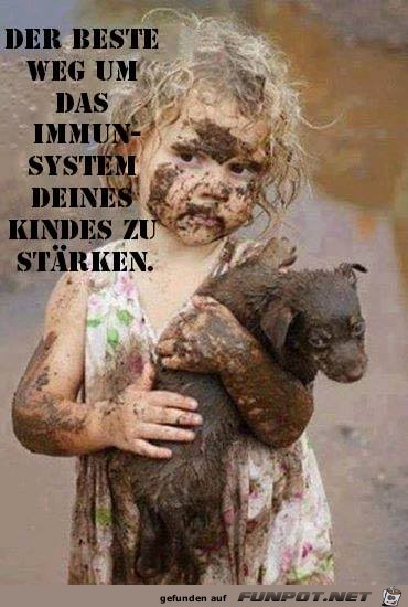 Der beste Weg Der beste Weg