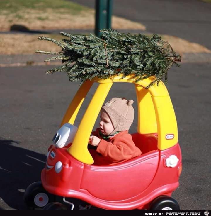 ich habe den Baum