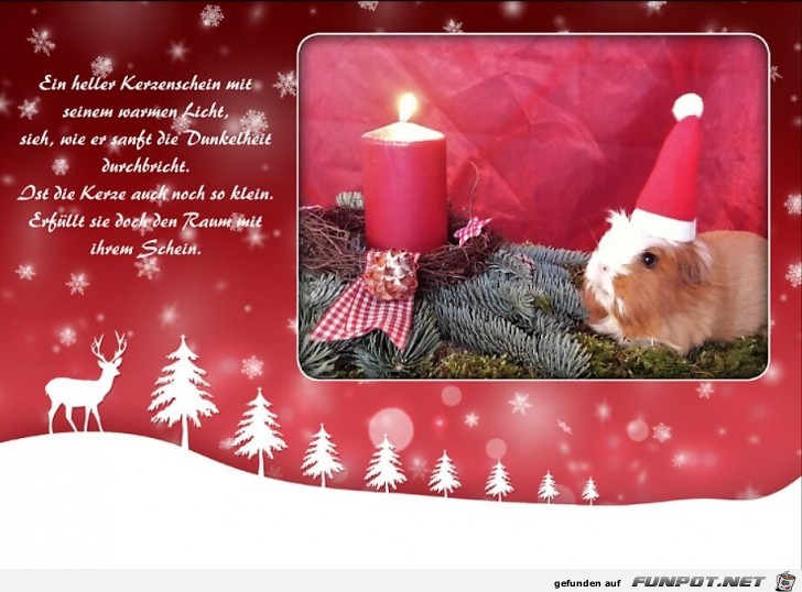 Frohe Weihnachten Frohe Weihnachten