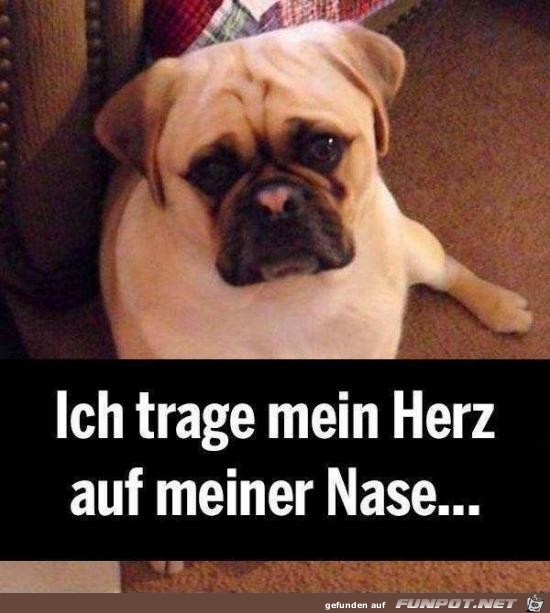 Herz auf Nase