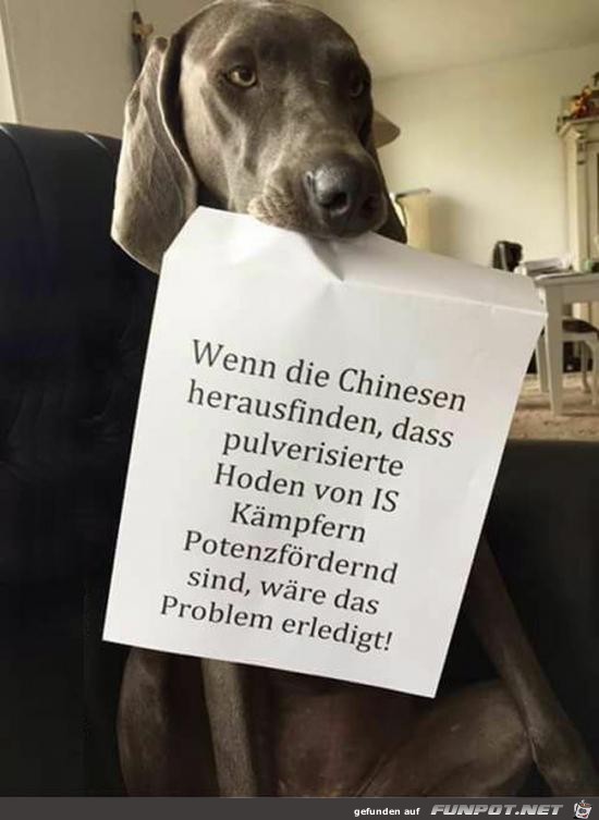 wenn die Chinesen herausfinden......