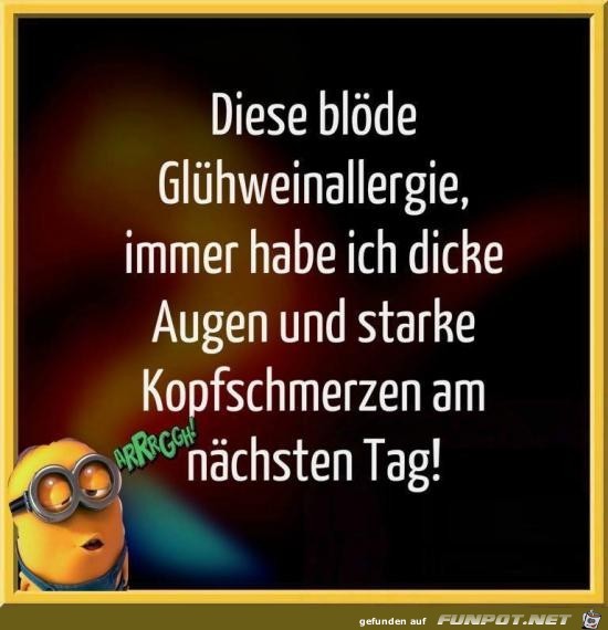 diese blde Glhweinallergie......