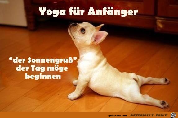Yoga fr Anfnger