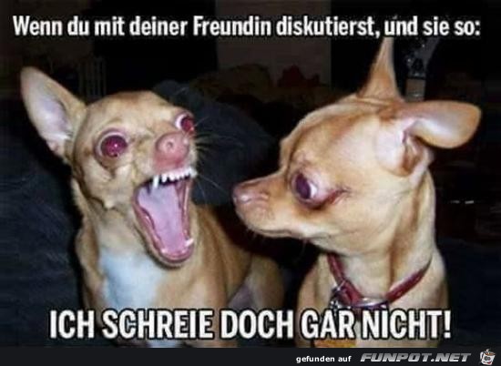 mit der Freundin diskutieren..... mit der Freundin diskutieren.....