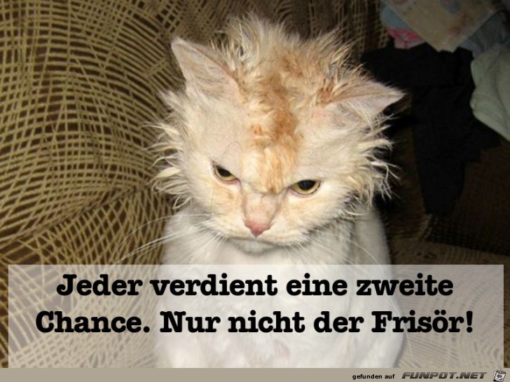 Jeder verdient eine zweite Chance Jeder verdient eine zweite Chance