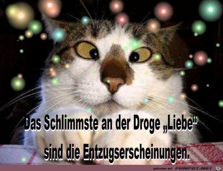 Das schlimmste an der Droge