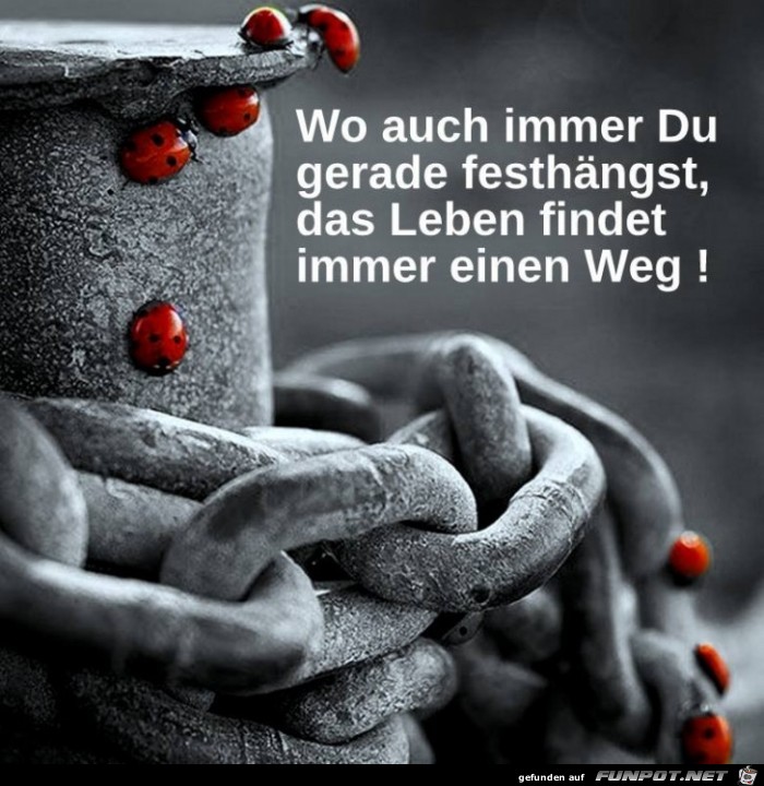 Wo auch immer