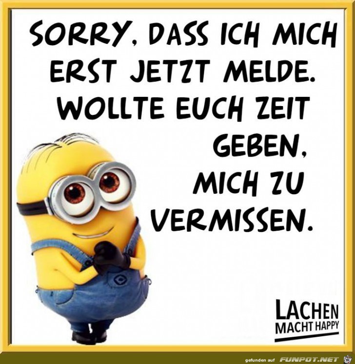 Sorry Sorry
