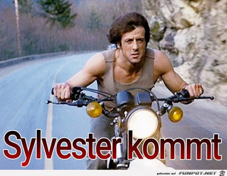 Silvester Silvester