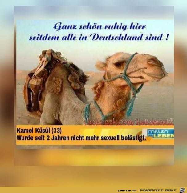 Ganz schön ruhig hier Ganz schön ruhig hier