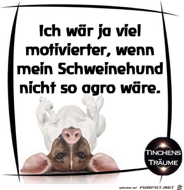 Waere viel motivierter