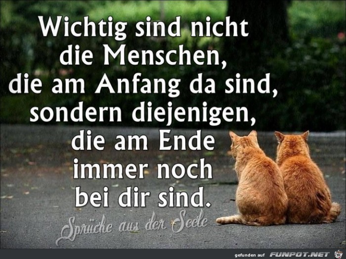 Wichtig sind nicht Wichtig sind nicht