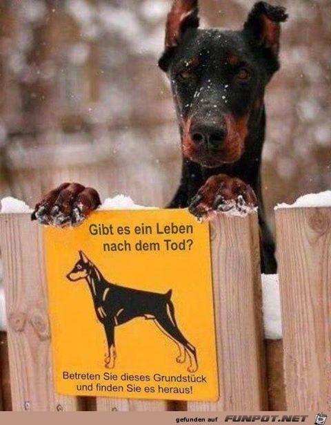 finde es raus finde es raus
