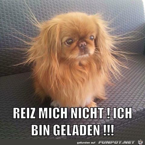 Bin geladen Bin geladen