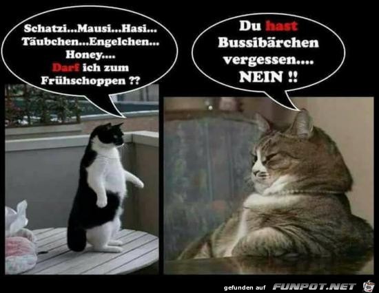 Wie blöd Wie blöd