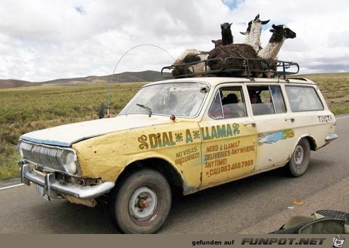 Dial-a-lama-is-a-real-business Dial-a-lama-is-a-real-business