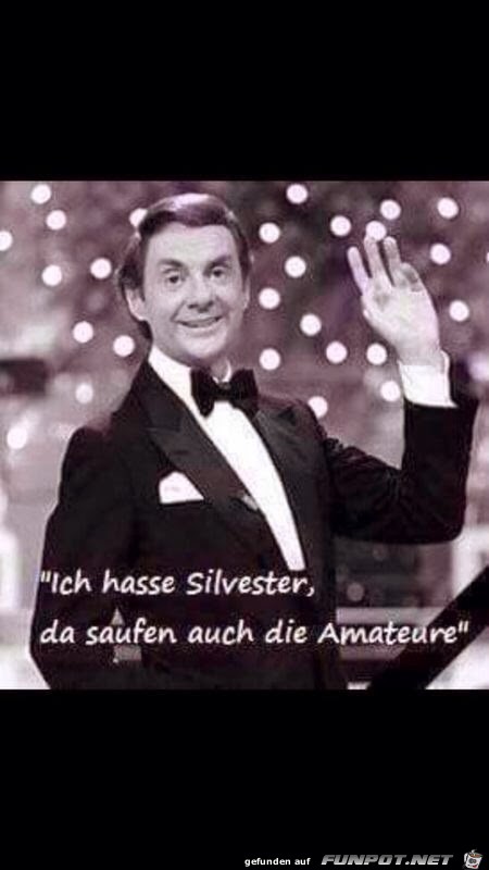 Ich hasse Silvester Ich hasse Silvester