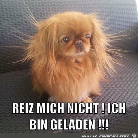 reiz mich nicht..... reiz mich nicht.....