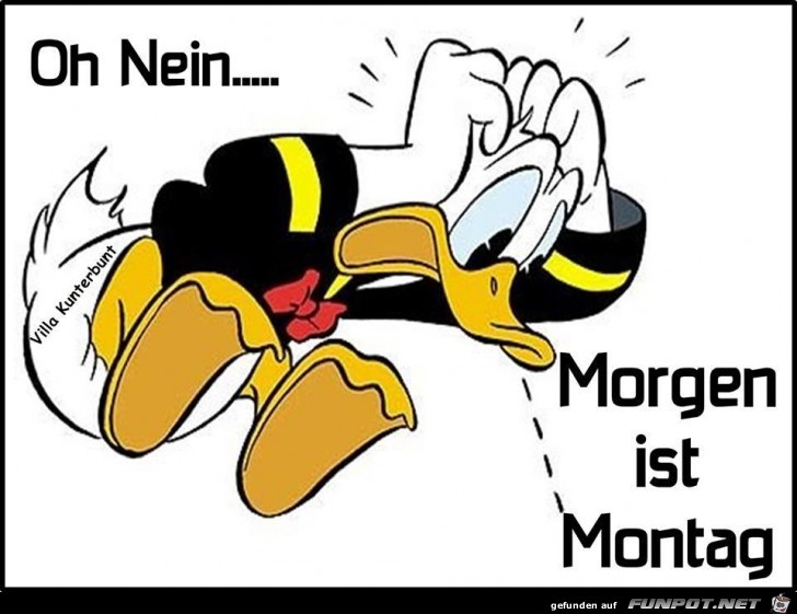 Oh Nein Oh Nein