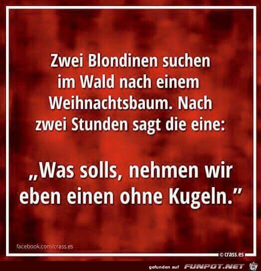 Zwei Blondinen Zwei Blondinen