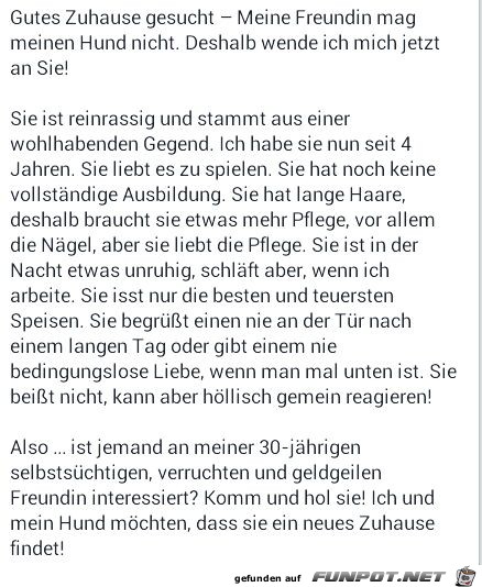 Gutes Zuhause gesucht