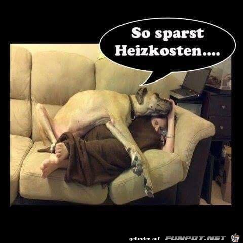Heizkosten sparen Heizkosten sparen