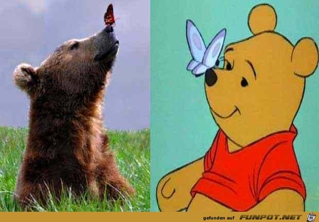 Disney-Bilder im wahren Leben 2 Disney-Bilder im wahren Leben 2