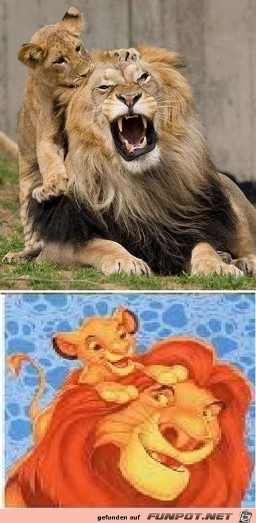 Disney-Bilder im wahren Leben 3 Disney-Bilder im wahren Leben 3