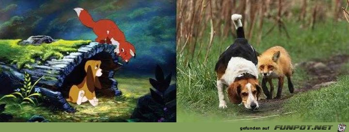 Disney-Bilder im wahren Leben 4 Disney-Bilder im wahren Leben 4