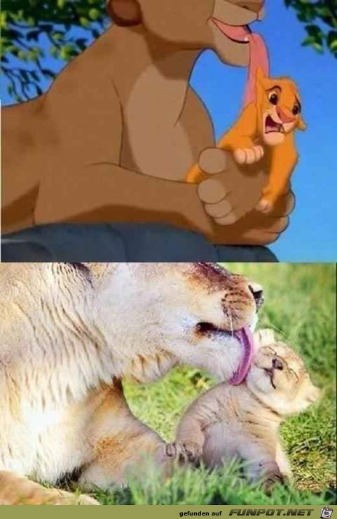 Disney-Bilder im wahren Leben 6 Disney-Bilder im wahren Leben 6