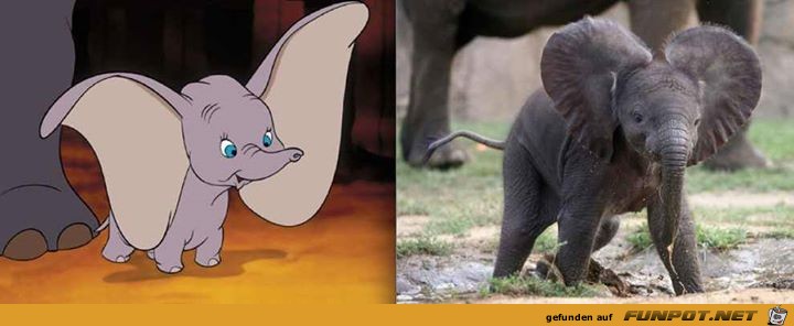 Disney-Bilder im wahren Leben 8 Disney-Bilder im wahren Leben 8