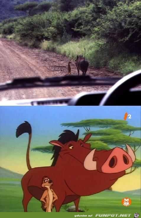 Disney-Bilder im wahren Leben 9 Disney-Bilder im wahren Leben 9