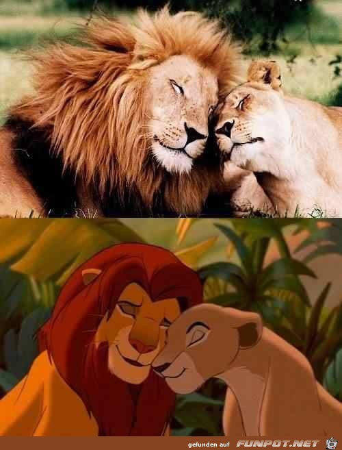 Disney-Bilder im wahren Leben 10 Disney-Bilder im wahren Leben 10