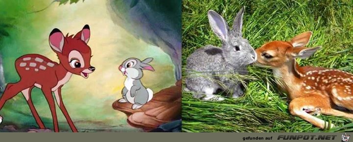 Disney-Bilder im wahren Leben 11 Disney-Bilder im wahren Leben 11