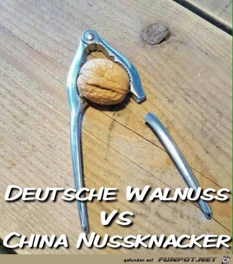 Qualitäts-Nuss Qualitäts-Nuss