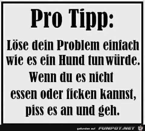 Pro Tipp