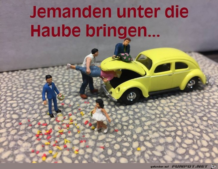 unter die Haube bringen