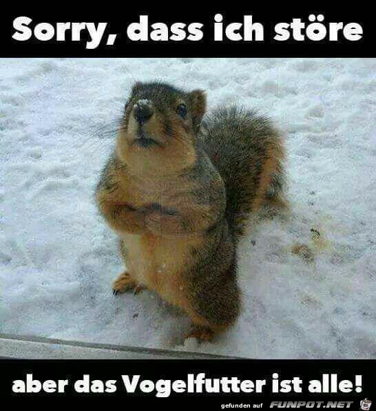 Sorry, dass ich stre.....