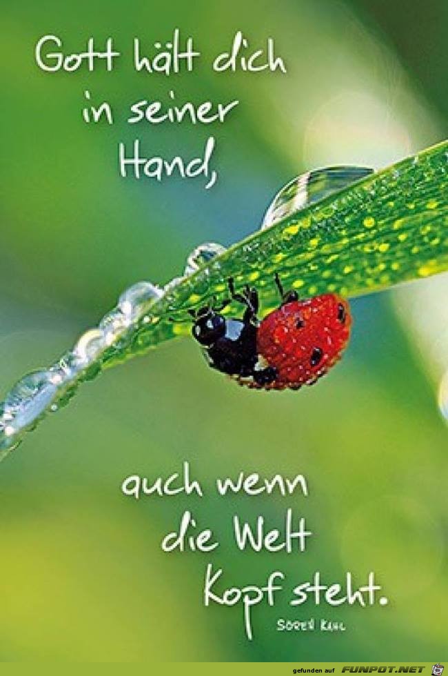 Gott hält dich Gott hält dich