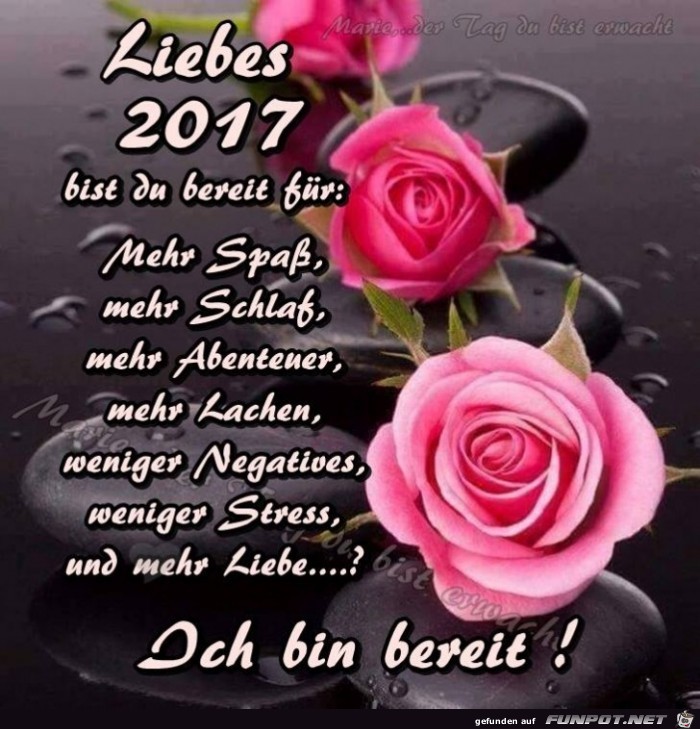 Liebes 2017 Liebes 2017