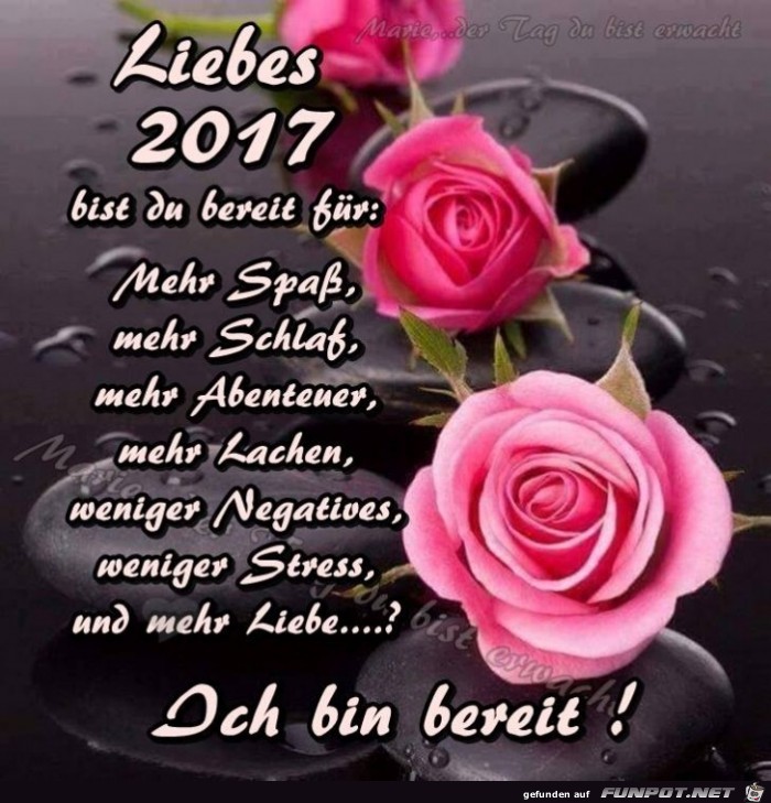 Liebes 2017