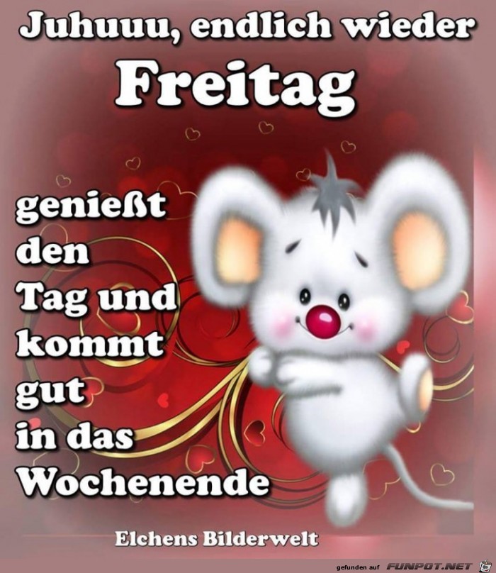 Endlich wieder Freitag Endlich wieder Freitag