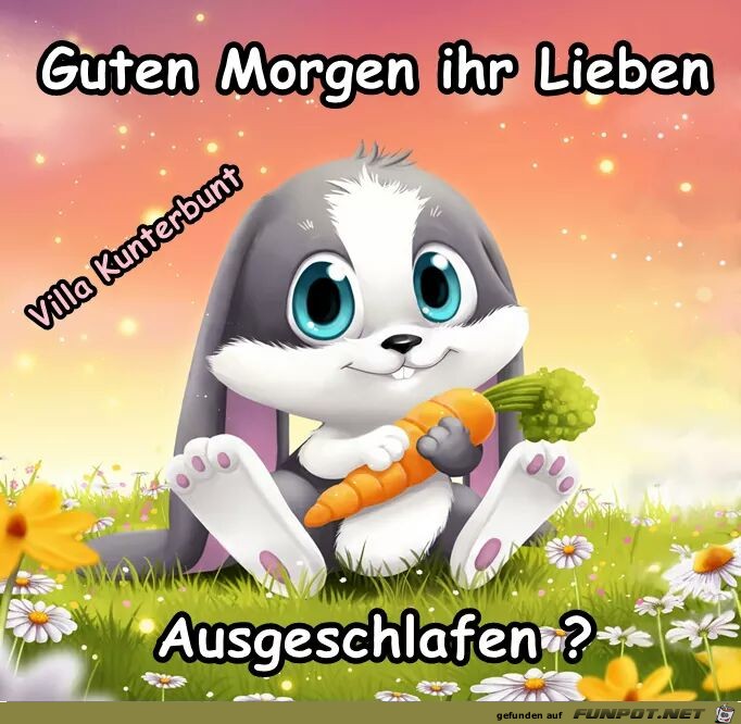 Ausgeschlafen Ausgeschlafen
