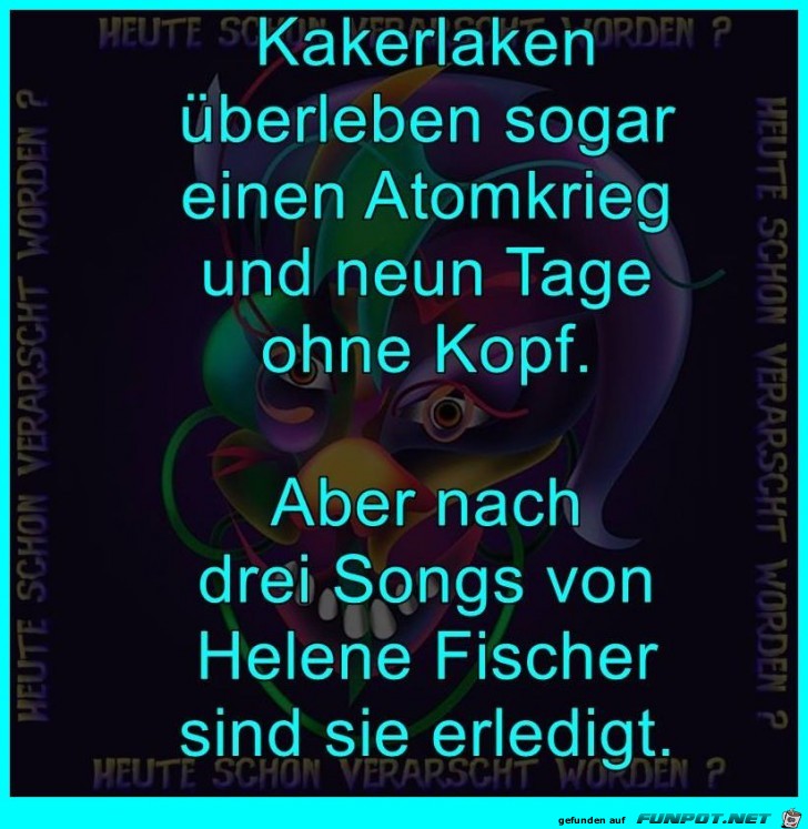 Kakerlaken Kakerlaken